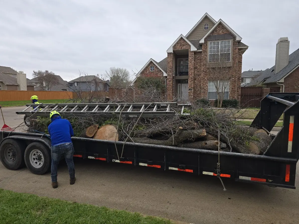 Expert Crown Reduction with proper safety equipment in Woodridge